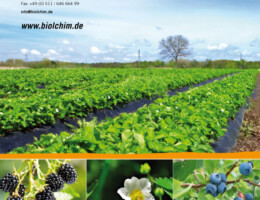 Biolchim - Katalog (Umschlag)