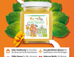 Bio Honig - Flyer